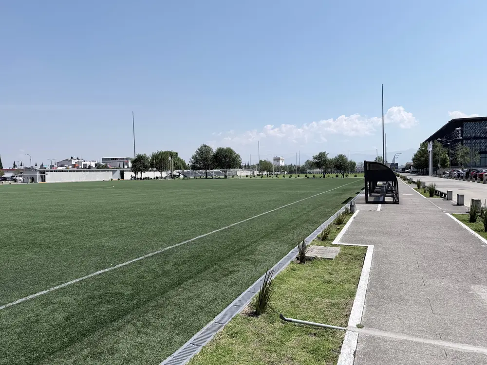 Selección MetLife